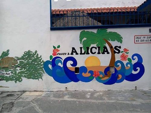Alicia'S Bed & Breakfast Cozumel Buitenkant foto