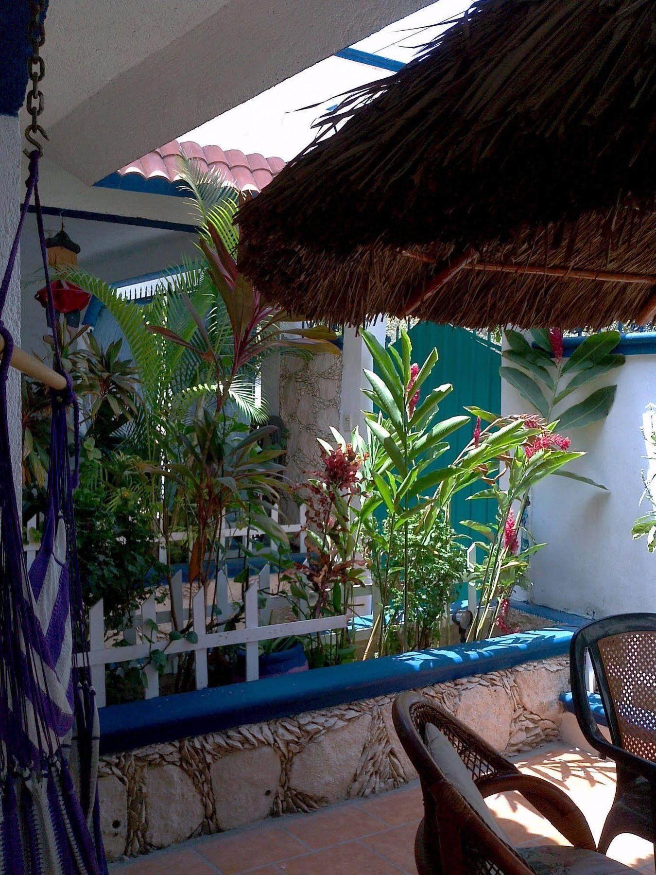 Alicia'S Bed & Breakfast Cozumel Buitenkant foto