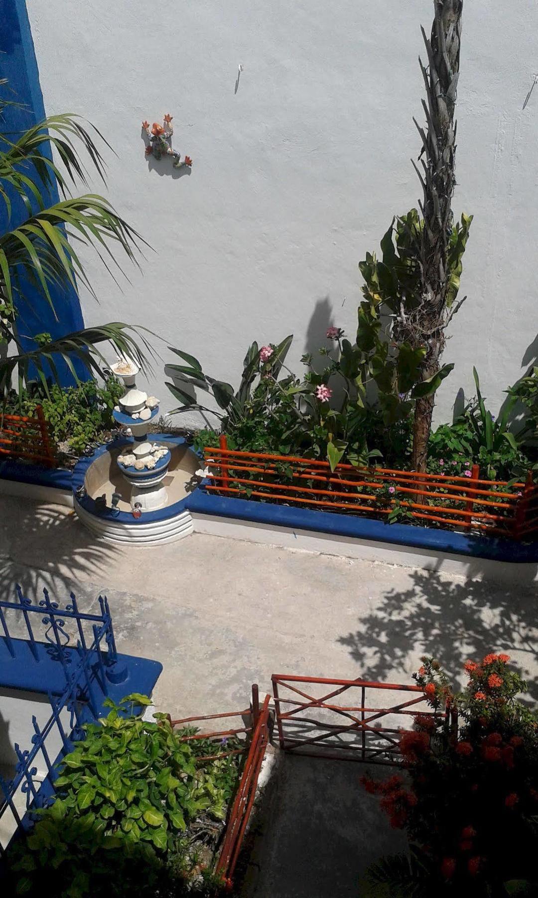 Alicia'S Bed & Breakfast Cozumel Buitenkant foto