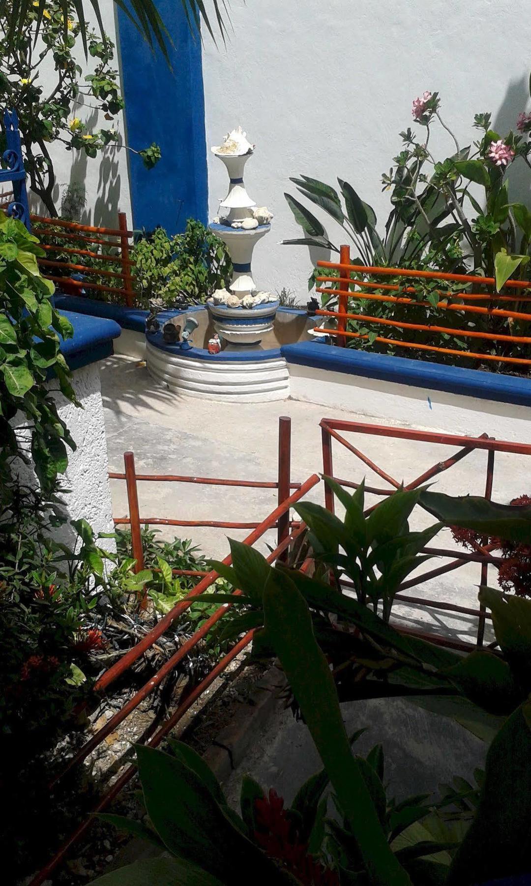Alicia'S Bed & Breakfast Cozumel Buitenkant foto